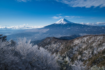 Naklejka na ściany i meble 富士山,三ツ峠,雪,冬,風景,青空