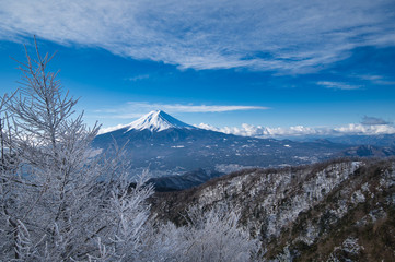 Fototapeta na wymiar 富士山,三ツ峠,雪,冬,風景,青空