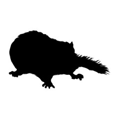 Dormouse (Gliridae) Silhouette Vector Found In Europe, Asian And Africa