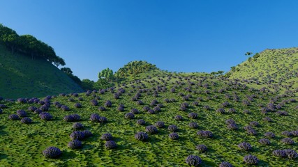 Obraz premium Jungle hills in Okinawa, Japan 3d rendering