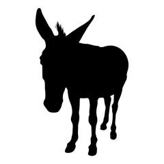 Donkey (Equus Asinus) Silhouette Vector Found In Africa And Asian