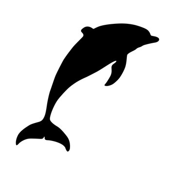 recommend clip art: Dolphin (Delphinus Delphis) Silhouette Vector Found In Warmer Sea Worldwide