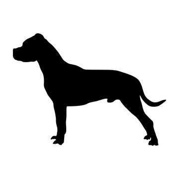Dogo Argentino Dog Silhouette Vector Found In Map Of South America