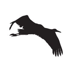 Crane Bird (Gruidae) Silhouette Vector Found In South America