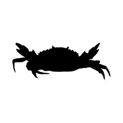 Crab (Brachyura) Silhouette Vector Found In Waters Worldwide