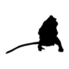 Crab Eating Macaque (Macaca Fascicularis) Silhouette Vector Found In Map Of Asia