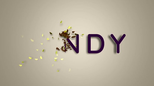 Name is Cindy. The female name on a light background disappears flying in butterflies. Minimal graphics. 4k