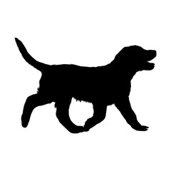 Chesapeake Bay Retriever Silhouette Vector Found In Map Of North America