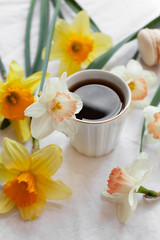 Obraz na płótnie Canvas White cup with black tea or coffee on a table surrounded by fresh white and yellow narcissuses. Delicate still life with a drink and spring flowers, enjoying a coffee break. Close up