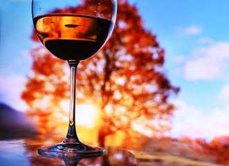 Reflection of autumn sunny landscape in a glass with wine against the backdrop of a colorful canopy tree in the sunlight. rest in the autumn park.