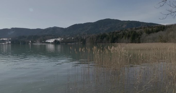 Gmund am Tegernsee . Blick auf das malerisch Wasserlandschaft mit Schilfrohrg&uuml;rtel und ruhige wasser des Natur- und Schutzgebiet am Nordufer des Tegernsees in Oberbayern 