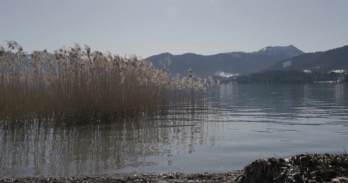 Gmund am Tegernsee . Blick auf das malerisch Wasserlandschaft mit Schilfrohrg&uuml;rtel und ruhige wasser des Natur- und Schutzgebiet am Nordufer des Tegernsees in Oberbayern 