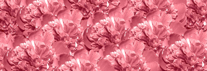 Beautiful red floral background. Panoramic banner.