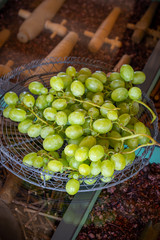corbeille de raisins