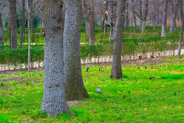 Park Buen Retiro, Madrid, Spain