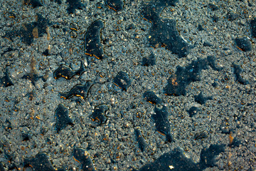 Water drops on asphalt textured abstract background