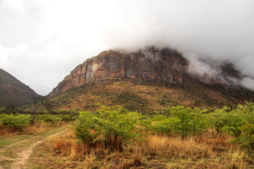 African Savanna Landscape, Natural Park