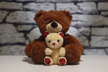 two soft baby teddy bears