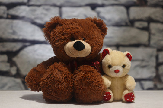 two soft baby teddy bears