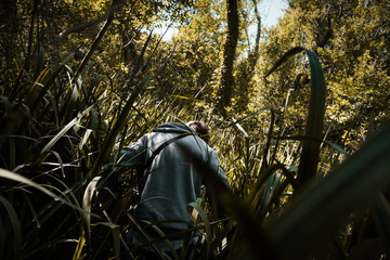 Aventura en el bosque