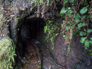 Dark entrance to the tunnel of water duct levada at hiking trail Casa del Monte to Los Tilos at mysterious laurel forest. Beautiful nature reserve on La Palma, Canary islands, Spain