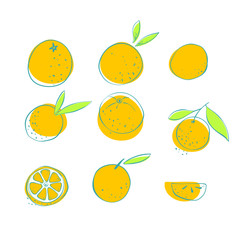 Vector set of hand drawn oranges. Vegetarian and vegan food in isolated modern design.