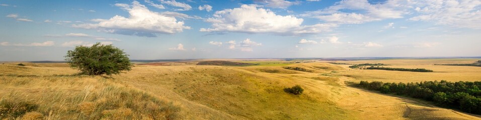 Panoramic view, aerial skyline of summer landscape of fields and meadows with harvested crop, boundless expanses, blue sky with cumulus clouds, top view from mountain