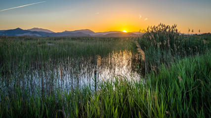 Sunset at La Marjal swamp near the Spanish city of Oliva. In the foreground is water and reeds. On the left you can see a wooden footpath.