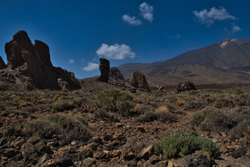 Fototapeta na wymiar Wonderful views of the nature of Tenerife