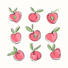 Vector set of hand drawn peaches. Vegetarian and vegan food in isolated modern design.