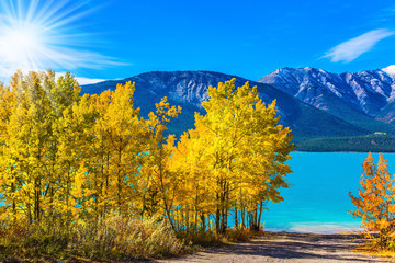 Abraham lake