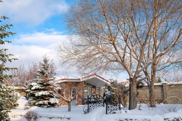 House in the inner part of the plot. Summer house. View of the garden in winter. Big willow