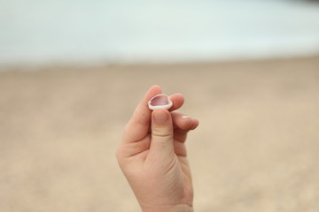 Close up image of child's hand holding small shell on the beach