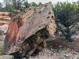 Roca granitica con musgo en el pinar del Piquillo. Cadalso de los Vidrios. Madrid. España. Europa.