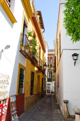 The traditional architecture of Seville in the old city. Andalusia, Spain.