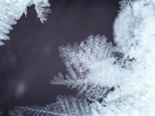 snow and ice feathers on ice