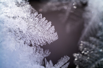 snow and ice feathers on ice