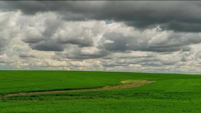 Clouds over a beautiful bright, green grass field - time lapse