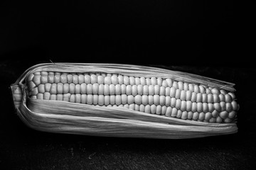 Corn Black and White