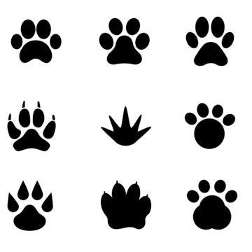 paw icon vector set. Collection of different animal paw. Illustration sign or symbol.