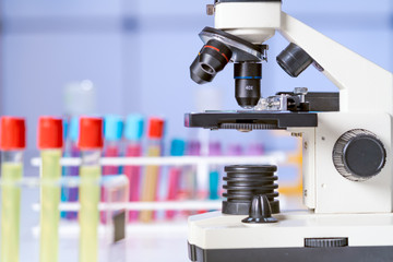 Test tubes and flasks and microscope in a chemical laboratory