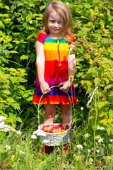 Cute girl picking raspberries in the garden