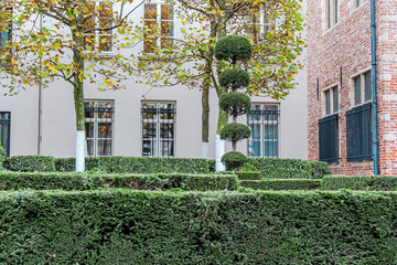 Neatly trimmed bushes and trees