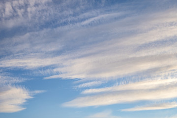 Blue sky background with tiny stratus cirrus striped clouds. Clearing day and Good windy weather