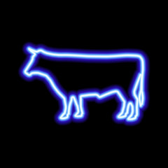 Blue neon sign of cow on black background.