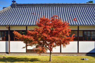 閑院宮邸の紅葉