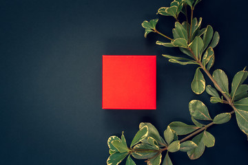 Flat lay. Red box and green twig on a dark blue background. Copy space on the box, for the brand. Suitable for layout. Vignetting. Central composition.