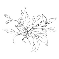Botanical sketched floral bouquet. Line art hand drawn plant