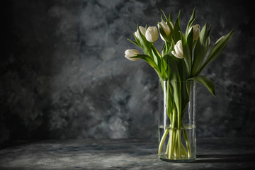 Dark mood background and fresh flowers of tulips.