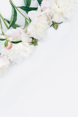 White varietal peony